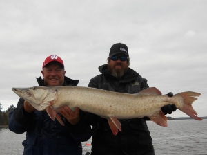 My dad caught a 42.5 musky out of his kayak while we were bass